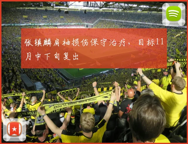 张镇麟肩袖损伤保守治疗，目标11月中下旬复出